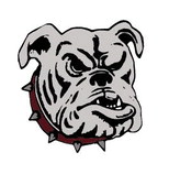 Dogs split pair in district tourney