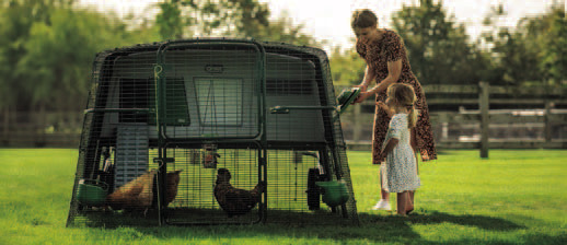 Caring for a feathered flock