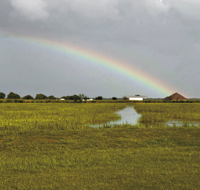 After several days of thunderstorms battered the parish, residents got a welcome break in the weather midweek. A vibrant rainbow stretched over Welsh, providing a colorful reminder that beauty often follows the storm. Submitted photo