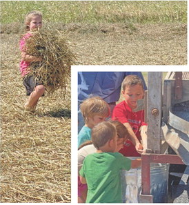Threshing Of Rice Rice Threshing | Jennings Daily News