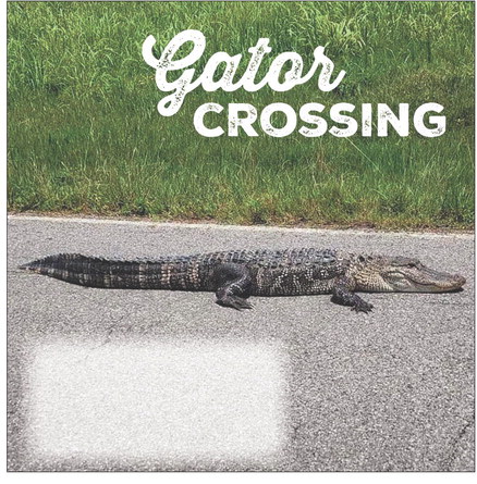 Gatos CROSSING