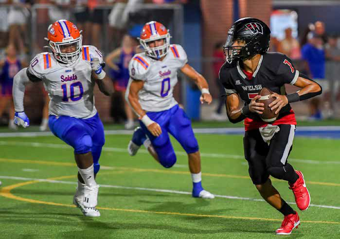 Hounds strong in jamboree showing
