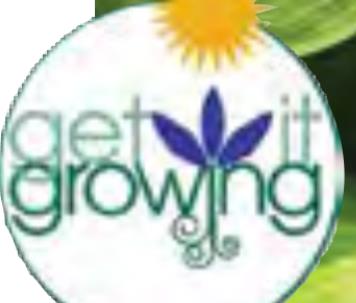 Pinpointing what is wrong with your plants
