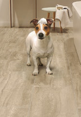 How Pet Owners Can Benefit from Resilient Flooring