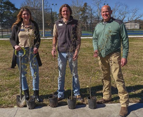 City of Jennings, CSE partner for green initiative
