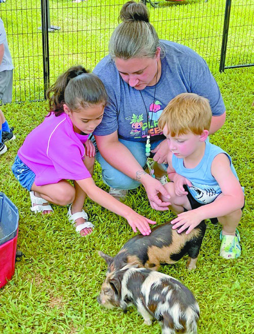 Petting Zoo