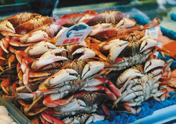 Aquaculture projects face years of permitting despite Trump's efforts