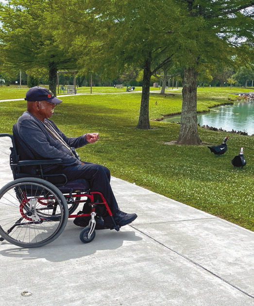 Feeding the Ducks