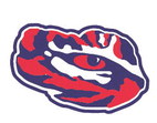 Tigers welcome Rebels in district action