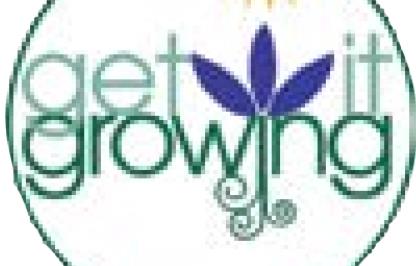 Use summer to plan your fall garden