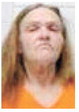 Two arrested for theft, cruelty