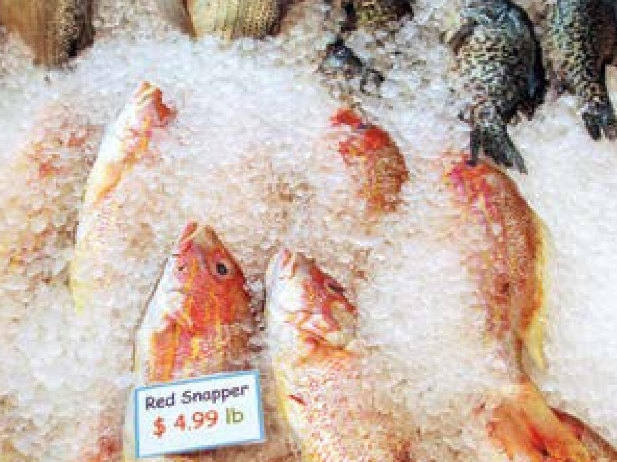 How to choose a fresh, whole fish