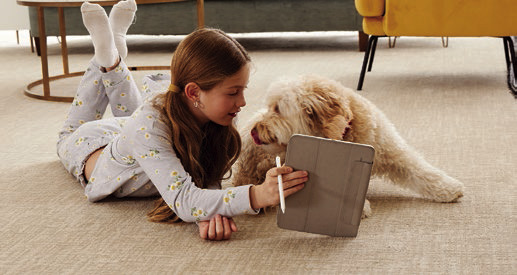 Creating a pet-friendly palace