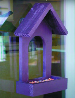 Build your own window feeder for summer bird watching