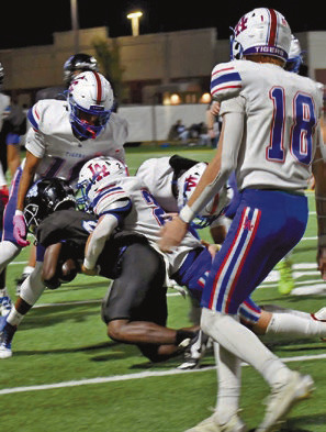  Tigers lose out in cat fight