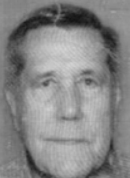Terry N. Shultz