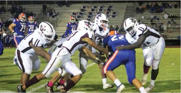 Dogs sting Yellow Jackets in district show