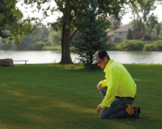 Summer mowing tips for a healthy, lush lawn