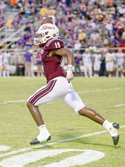 Dogs, Pirates to square off tonight in Division II playoffs