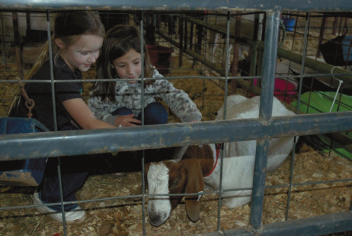 Jeff Davis Parish Livestock Show and Sale