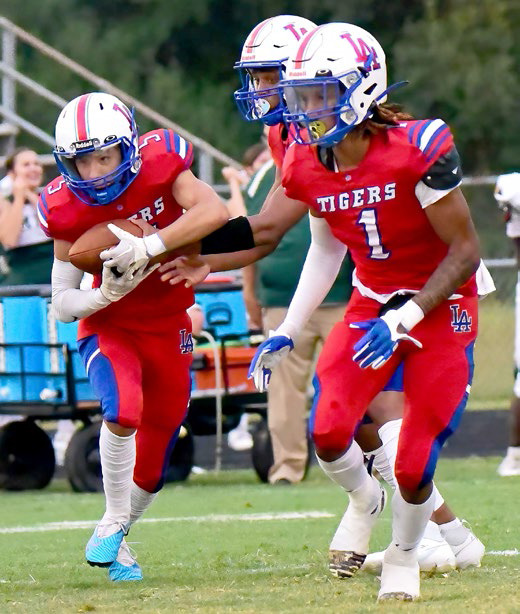 Tigers hammer Vinton, 50-6