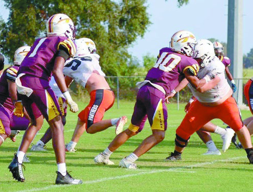 Elton sweeps Indian Jamboree