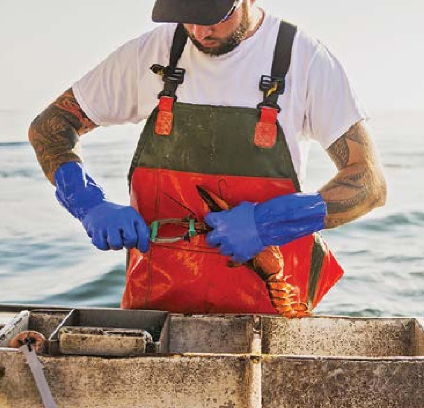 Grilled, fresh lobster is the ultimate treat
