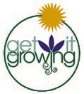 Planting a tree this winter?