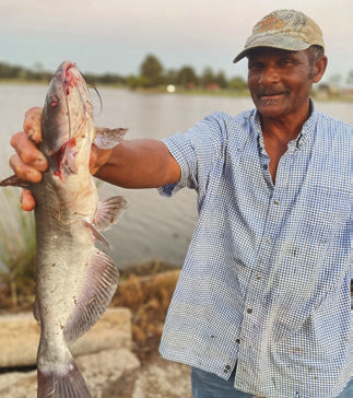 Catfishing at the park