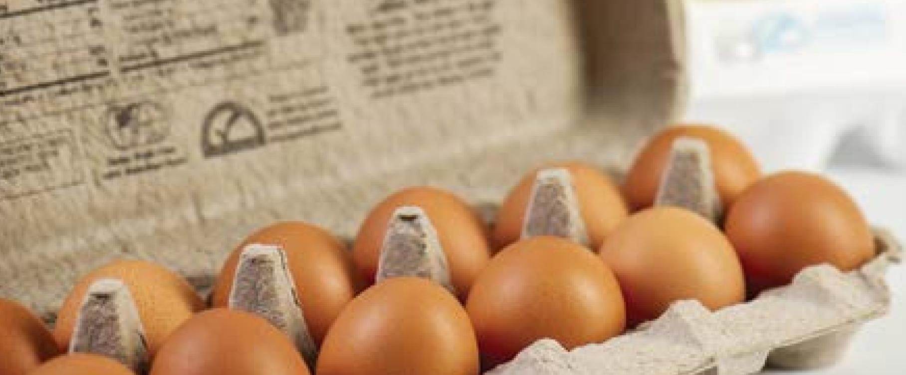 Eggs are egg-ceptional