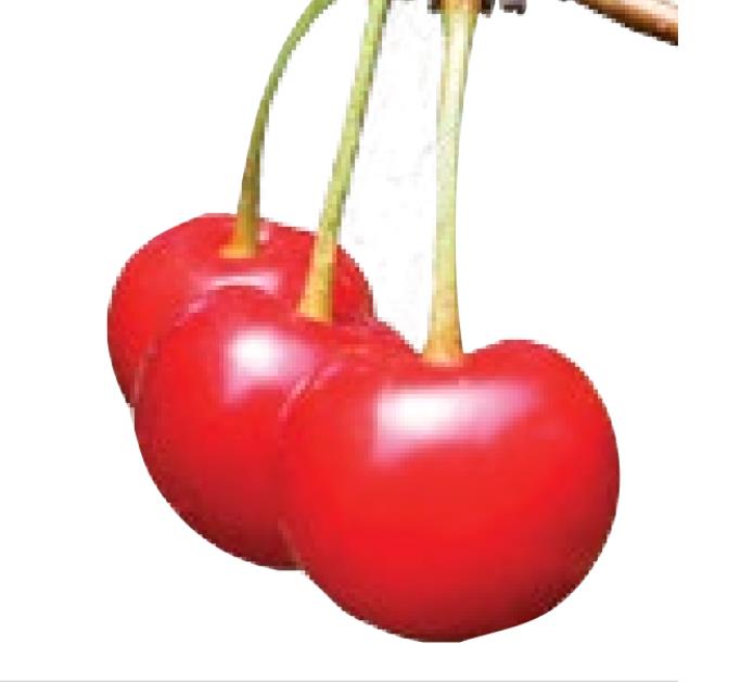 5 reasons to eat more tart cherries