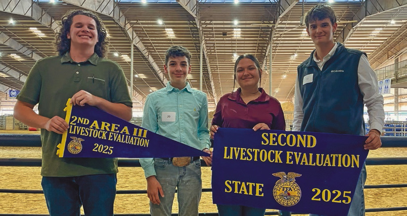 Elton FFA shines
