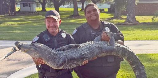 Later Gator!