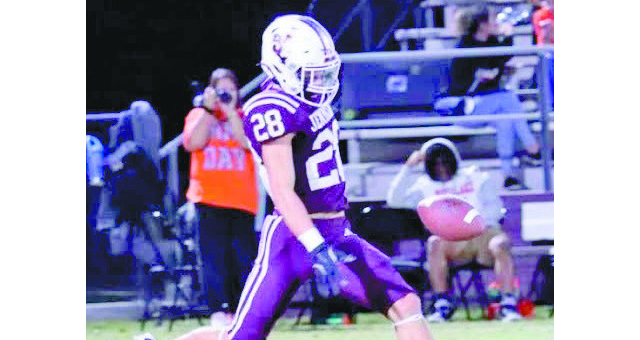 Dogs hammer Tigers in playoff opener