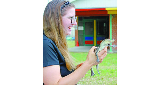 ALLIGATOR ANTICS