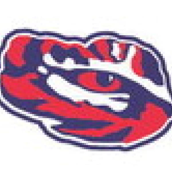 Tigers to face Menard on road