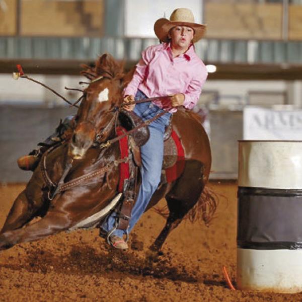 Equine Ambassador