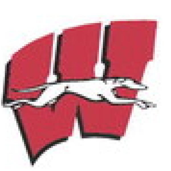 Hounds to open with 3-A Wildcats