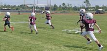 PEEWEE ACTION