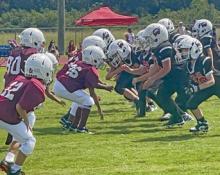 PEEWEE ACTION