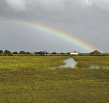 After several days of thunderstorms battered the parish, residents got a welcome break in the weather midweek. A vibrant rainbow stretched over Welsh, providing a colorful reminder that beauty often follows the storm. Submitted photo