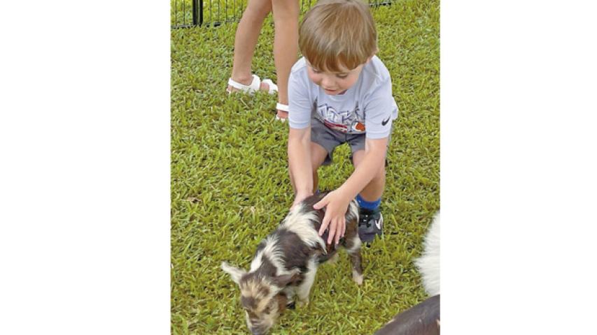 Three-year-old John Rossbreaux of Jennings enjoys petting a furry piglet as it roams the ranch setup filled with a variety of farm life. Daily News photo by D'Arcy Knight