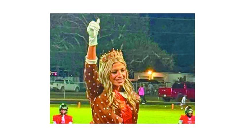 GREYHOUND ROYALTY