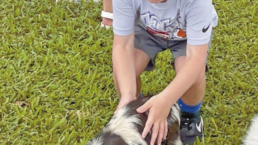 Three-year-old John Rossbreaux of Jennings enjoys petting a furry piglet as it roams the ranch setup filled with a variety of farm life. Daily News photo by D'Arcy Knight
