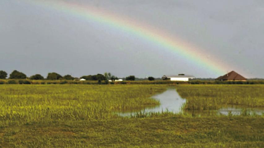 After several days of thunderstorms battered the parish, residents got a welcome break in the weather midweek. A vibrant rainbow stretched over Welsh, providing a colorful reminder that beauty often follows the storm. Submitted photo
