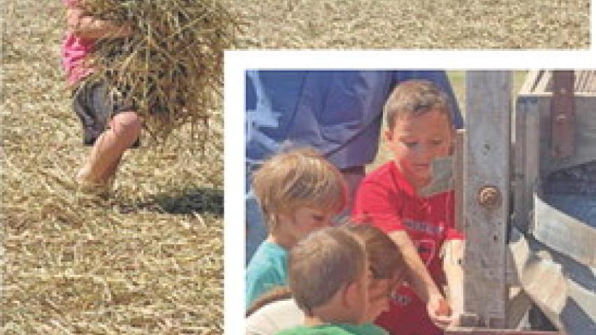 Rice Threshing