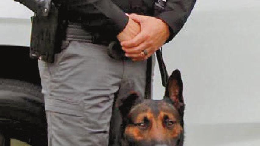 Jeff Davis Parish Sheriff’s Office Lt. Chris LaFleur (left) and K-9 Harry celebrate the four-legged deputy’s retirement from law enforcement. Since 2022, K-9 Harry has been a dependable and loyal member of JDSO, working to keep the community safe. Submitted photo