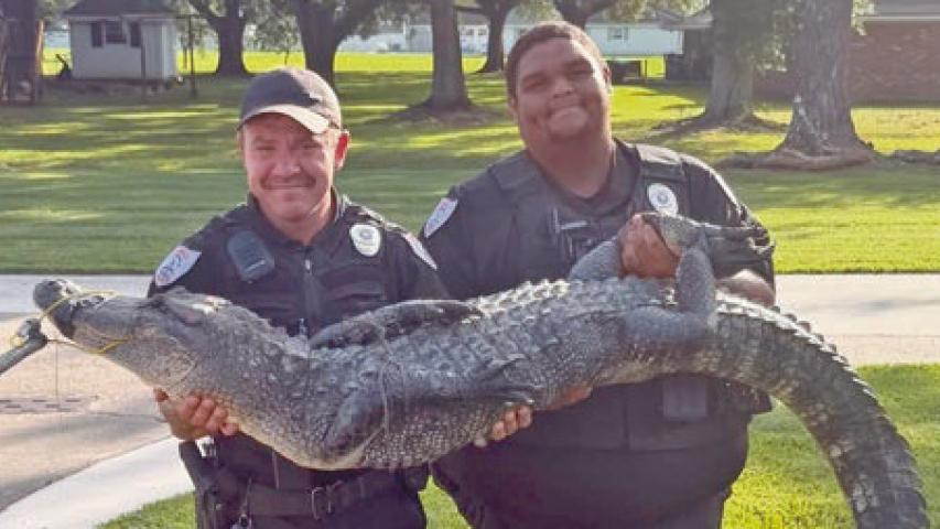 Later Gator!